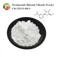 নিকোটিনামাইড রাইবোসাইড ক্লোরাইড পাউডার